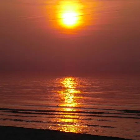 Schuett _ Objekt 259